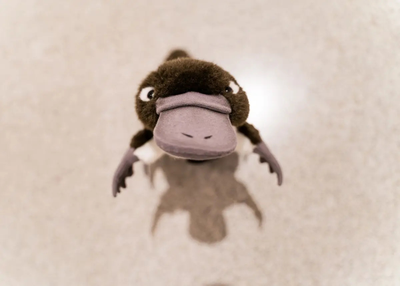 1c4f2b32738f424d9946bc1a3f608441