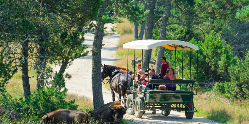 802436c402a844ea93721d31abb35780