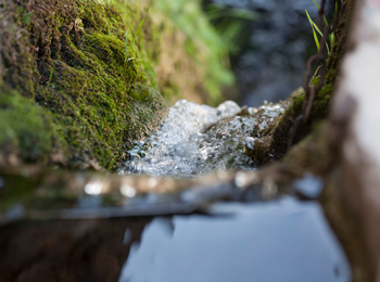 dcd96e9126854a0089237e664aad9395