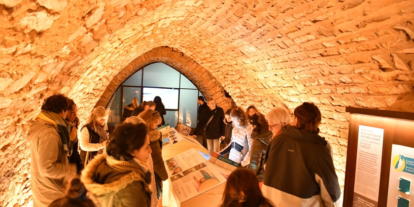 df4fd20f59e34a8fa0d2be6eb995fe3a