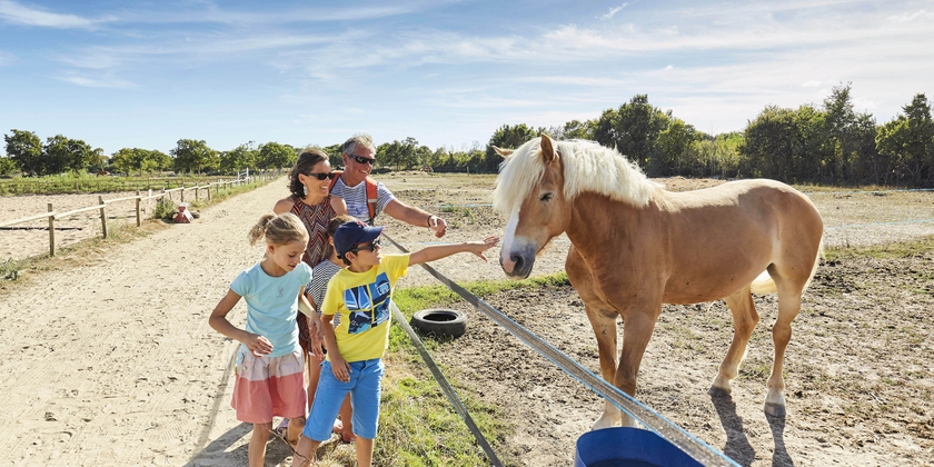 Balade à poney à tarif réduit