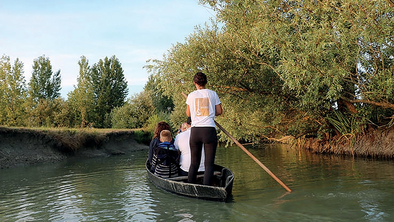 e9ea728666ce48598077349fb38c2f81