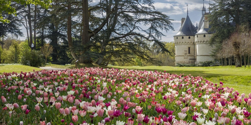 Domaine de Chaumont-sur-Loire