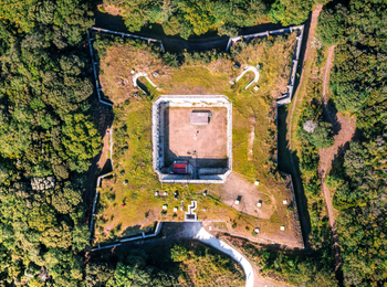 0217084670884b0ca21fefe41ecfdbdd