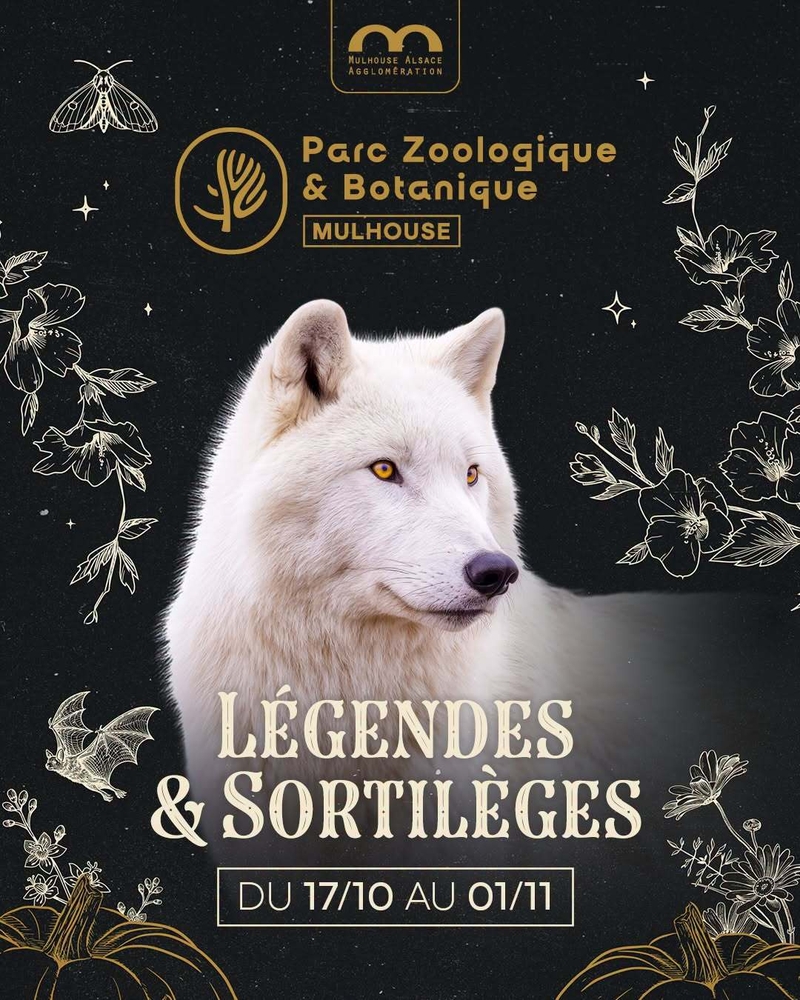 Légendes & Sortilèges !