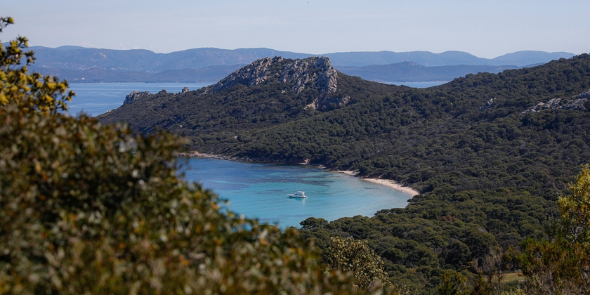 b3fc7cd3dded495796f954b2349c1b45