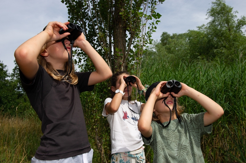 4082ed2cadaf447b9072b59270605d4a