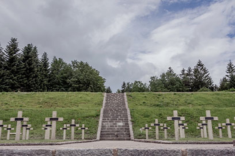 3d3f1b36170c427dba974212a6a15a9b