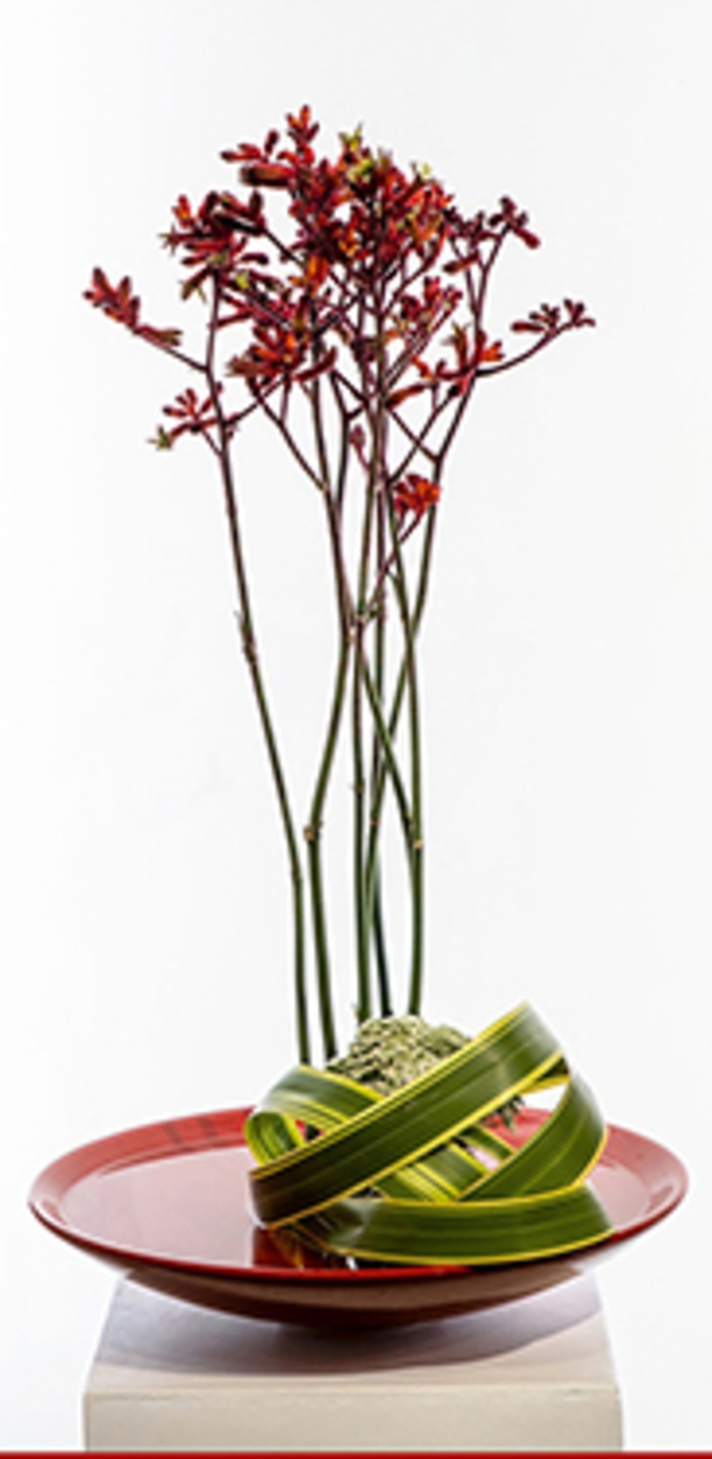 859aed4a55e5423a9d53b6a0001c1606