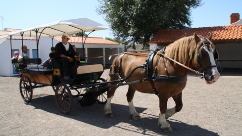 d2fc061027eb4c92aca6016a1e16273c