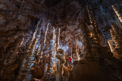 c4e9f4f0fa5f4217a75c35b0c39d69ba