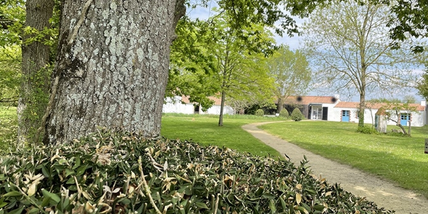 6da64470b1f84881a0d91656118b973c