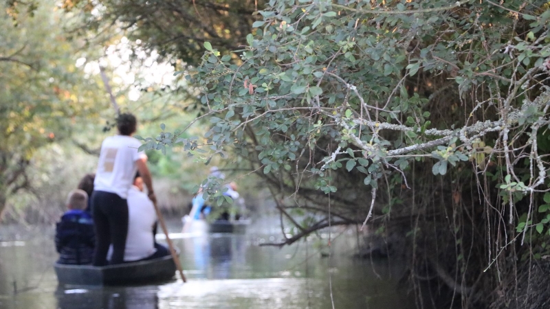 73bd2f4deef24ae1b68d53fb14a157ac