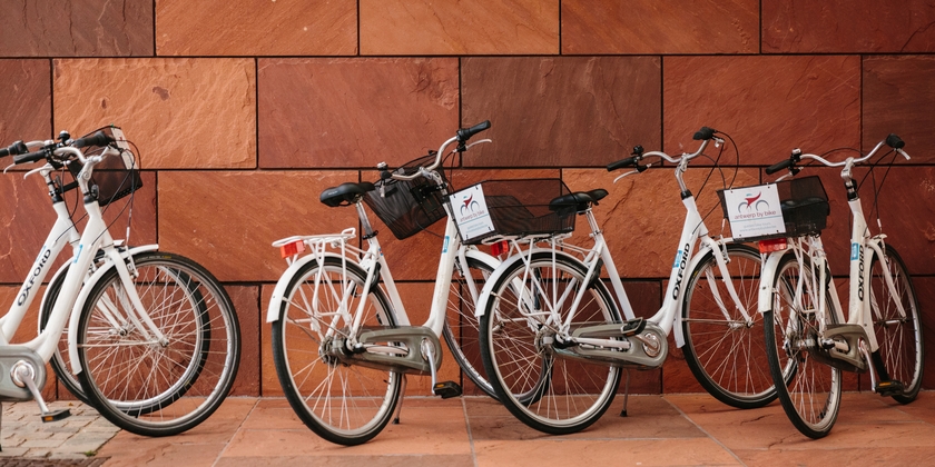 Antwerp By Bike