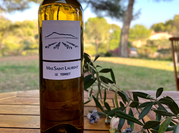 417c55e91bf14c019f9199a6918843e1