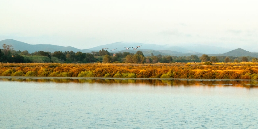 6f8872e3628146009ed32127a0f551a1