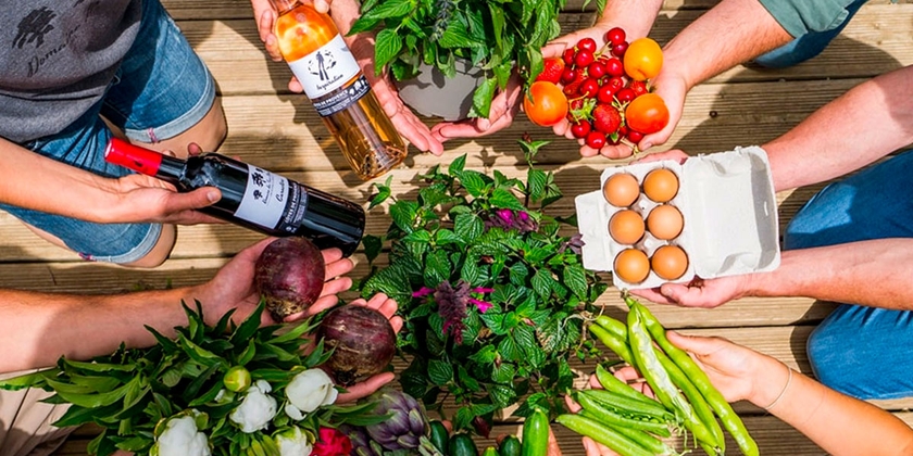 c450344edb124438be499bb37f5380ae