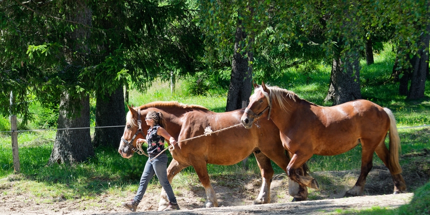 fff482eb3ae4425082a9d2d58417b841