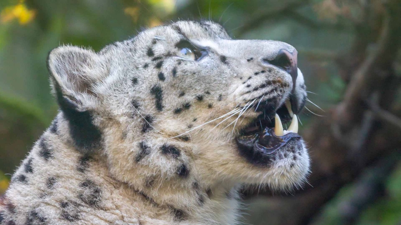 9b947aa727bc46dda763055ed21e8d97