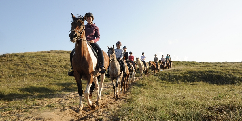 Reduced-rate horse or pony rides