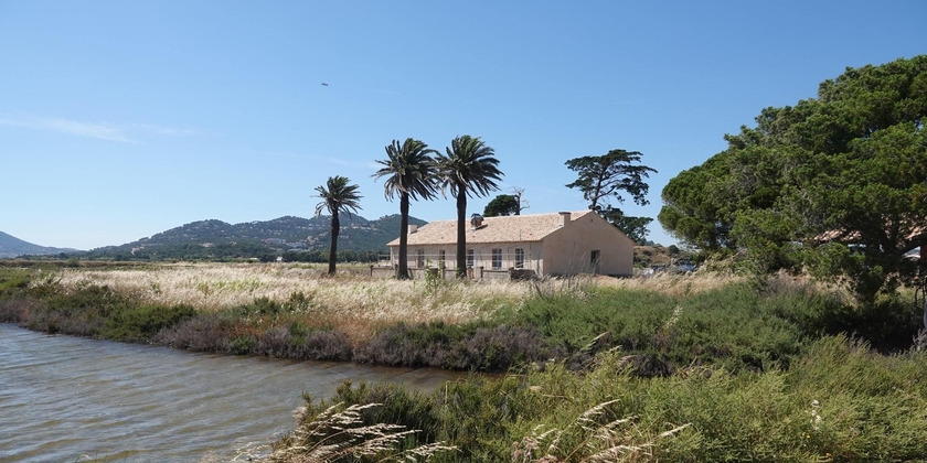 73bd04438e7e46d5a2f1e23356517765