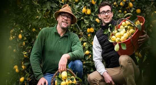 Visite du Domaine Gannac et dégustation du Citron de Menton