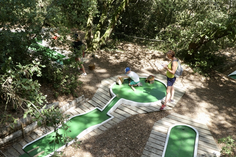 Dino's Park