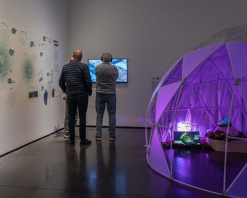 À L'ÉCOUTE DU VIVANT - BIOMIMÉTISME, ENTRE ARTS ET SCIENCES