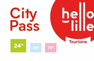 1-day Lille City Pass