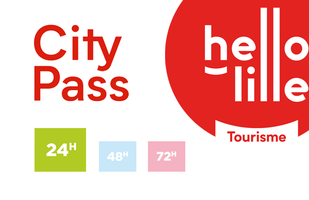 1-day Lille City Pass