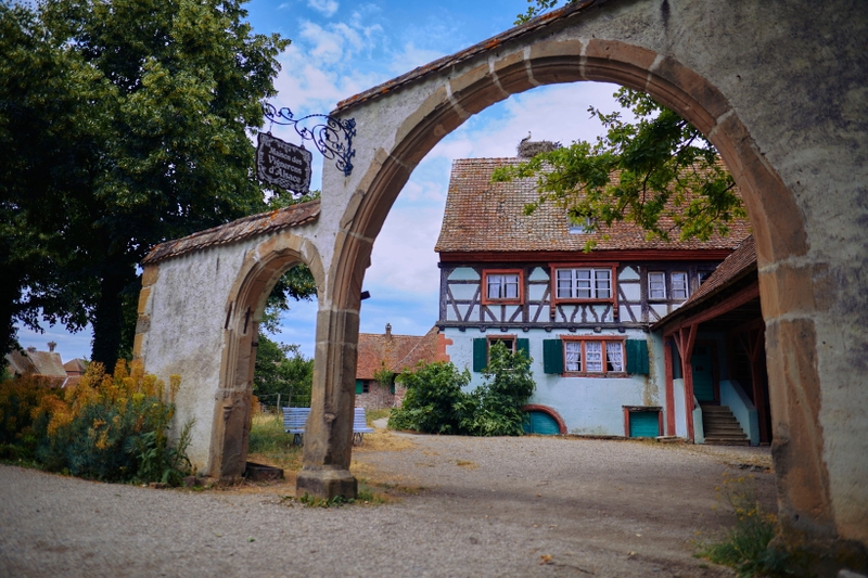 c6e54474a0034c558ee4023ea954fe53