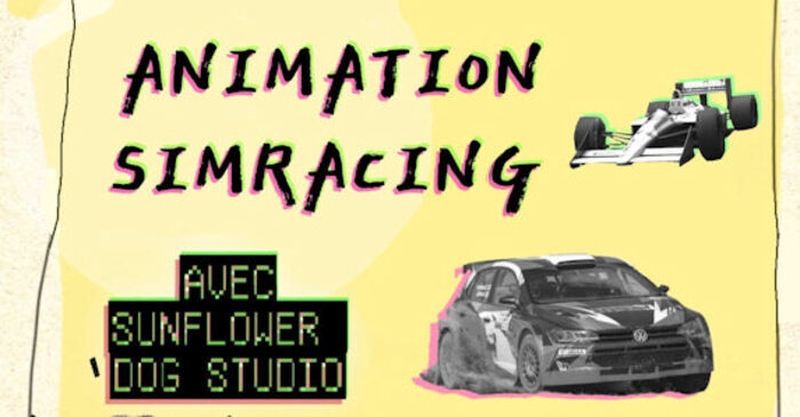 | Simracing - simulation de conduite sur jeux vidéo |