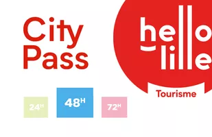 Lille 2-day city pass