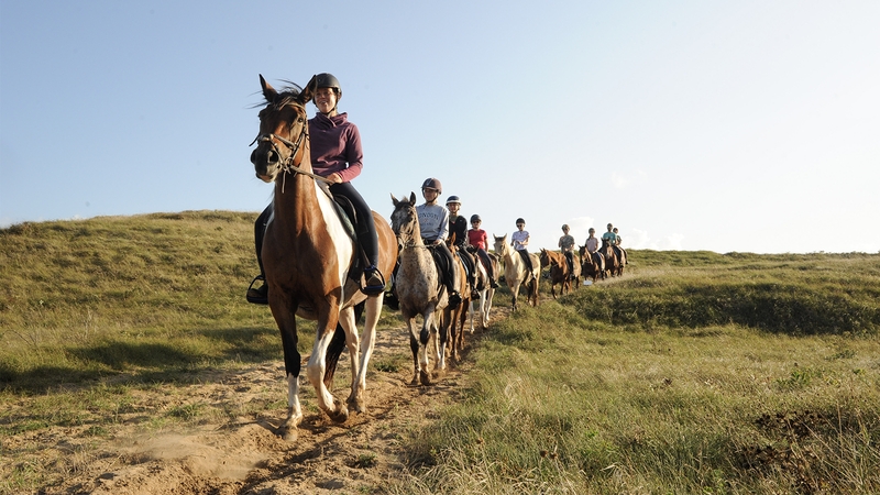 595f4d27a6b14c1ab7f1e30a5aa7314e