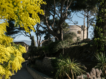 b674debed703491fbee358a33ee70302