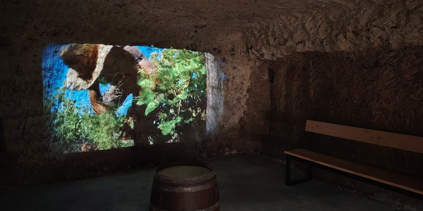 b688a04f1e65483d9df1dbcb7e0b6aba