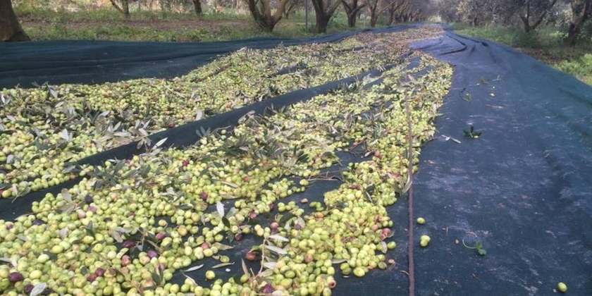 44a7e48890f94832b63b0d54a02ac399