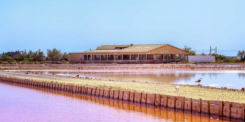 Le Salin de La Palme en petit train