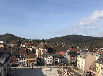 66417a8612414c07aca17bb9cd04f117