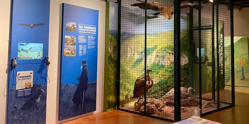 c30973f5d257470f9c84b60696316f6d