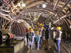 ef902709a1b340a7994110011b8fc653