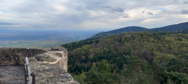 8e33544c81104a16b2076b00f149f42a