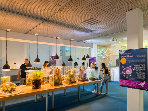 c39b5207b1cf4dcf9163d209f2a7e4f4