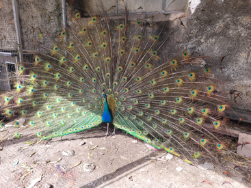 eef0687c32af49899f3db8356b530f43