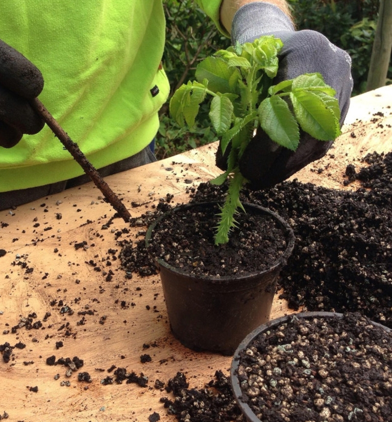 675bd6c689d54a1db535bfd245fd19de