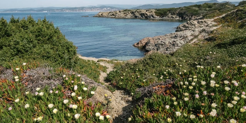 bb6962afc2ba4d5e93db4fc32332c786