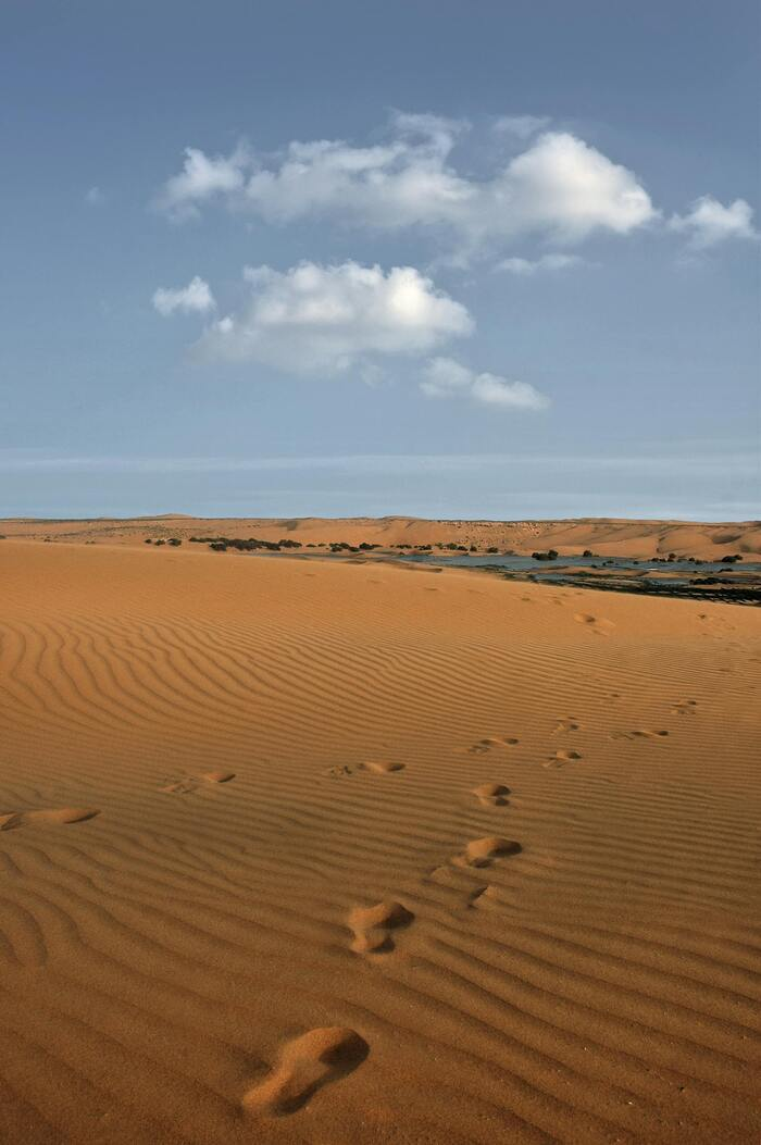 20b37e6718cd409c854400793e2450bf