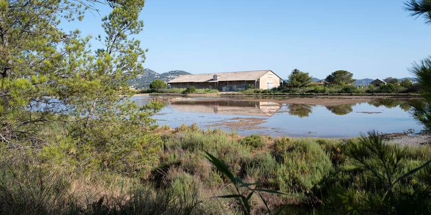 3a0b4c9656c44837b7f23db3162c731b