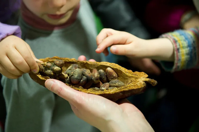 5ce681780b0243328c1fcf450df96095