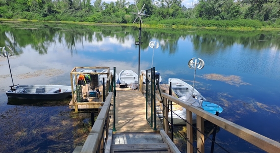 Electric boat rental - Ile de la Barthelasse, Avignon 